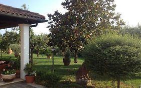 Bed And Breakfast La Spiga À